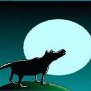 ptitloup