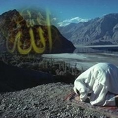 Ebu_Hatem
