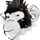 le singe a 3 tetes lesingeatroistetes