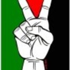 Mehdi mehdi