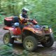 laurent_quad