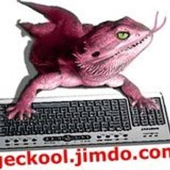 Val The Geckool