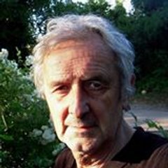 Vallmajo Albert