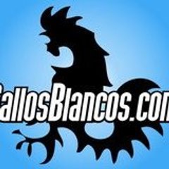 gallosblancoscom