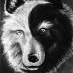 yan