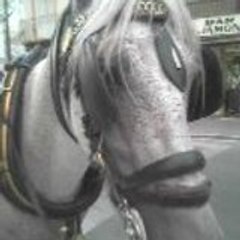 AbouMoussa,abdelmalik