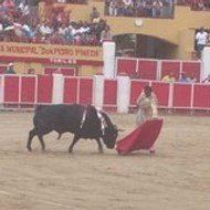 lafiestadelostoros.com.ve Web de Venezuela