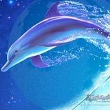 Dauphin Secret