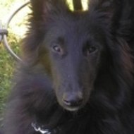 courtalin stéphanie