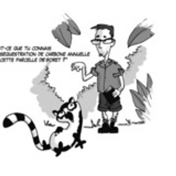 Raboulil