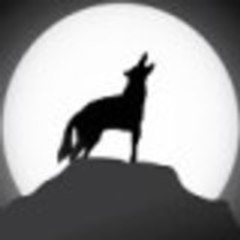 TheCoyoteReport