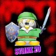 sylink21
