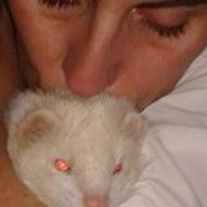 Veronique  veronique