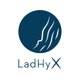 LadHyX