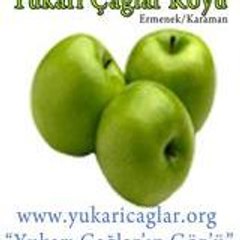yukaricaglar-org