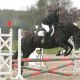 DOROTHEE