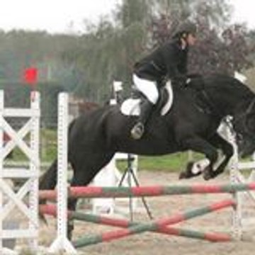 DOROTHEE