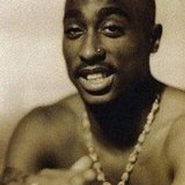 martini robin martini