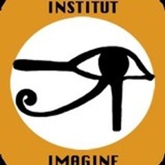 INSTITUT IMAGINE