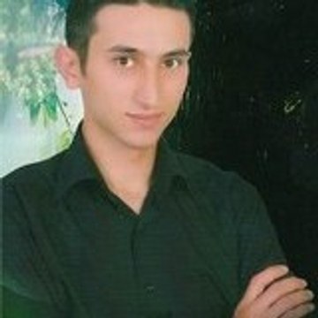 Mehmet Yücel ERGİN