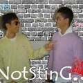 NotSting Team