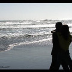 indream2009