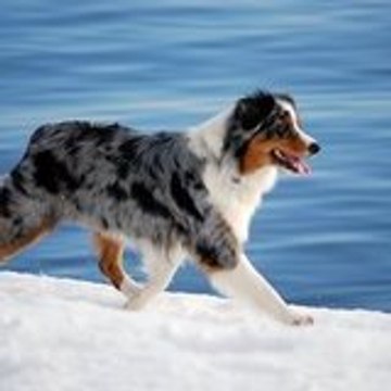 Cynthia Bordet cynthia