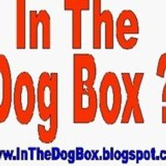 InTheDogBox