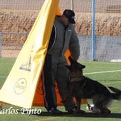 Ibercan, Prado Norte