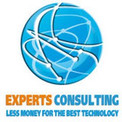 expertsconsulting