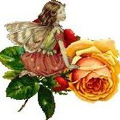 RIGOLLE_510