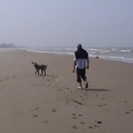 francois-honvault laurent