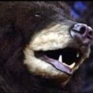 Animatronic Bear