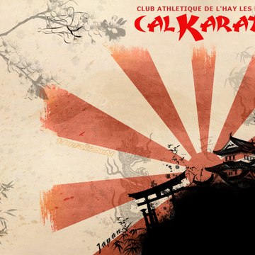 CAL Karaté (club de l'Haÿ-les-Roses 94240)