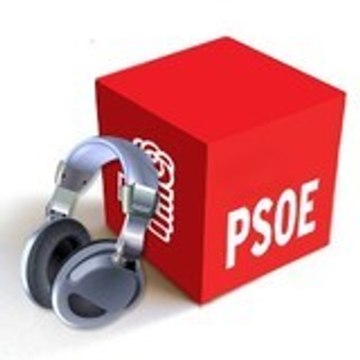PSOE DE ANDUJAR AGRUPACIÓN MUNICIPAL