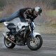 Terroristunt
