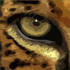 Documirada