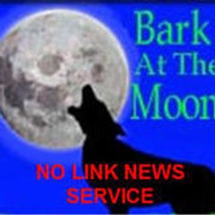 Nolinknews