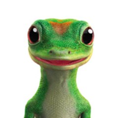 itÕs the gecko