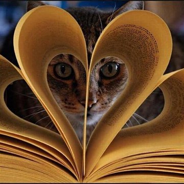 cathsou