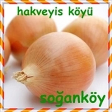 HAKVEYİS KÖYÜ