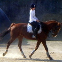 priscille