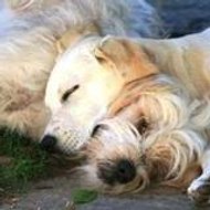 Association Entr-autres