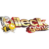 www.bilecik.gen.tr