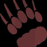 lolo L'ours des dunes