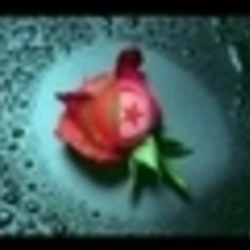 LOTFI 75
