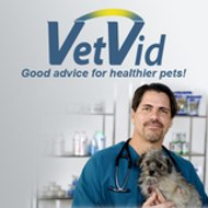VetVid