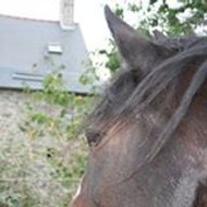 Chrystelle roux chrystelle