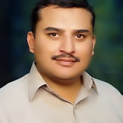 Muhammad Sheraz Bashir