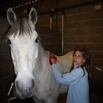 x-Folleuh-Horses-x